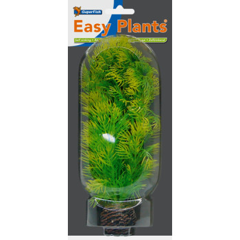 Easy Plants Middle NR5